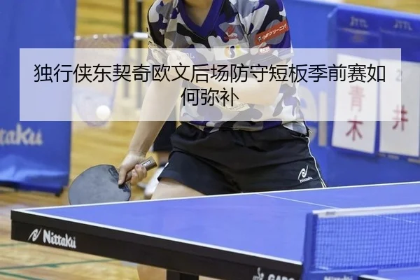 du-xing-xia-dong-qi-qi-ou-wen-hou-chang-fang-shou-duan-ban-ji-qian-sai-ru-he-mi-bu-3-526.jpg