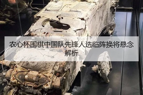 nong-xin-bei-wei-qi-zhong-guo-dui-xian-feng-ren-xuan-lin-zhen-huan-jiang-xuan-nian-jie-xi-3-267.jpg